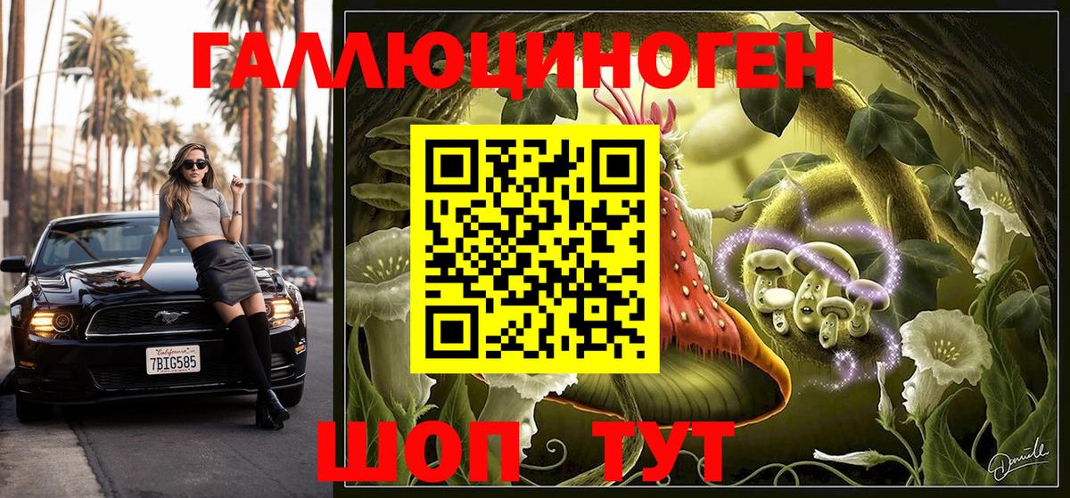 Электрогорск  Галлюциногенные грибы Psilocybe  Вход с VPN 